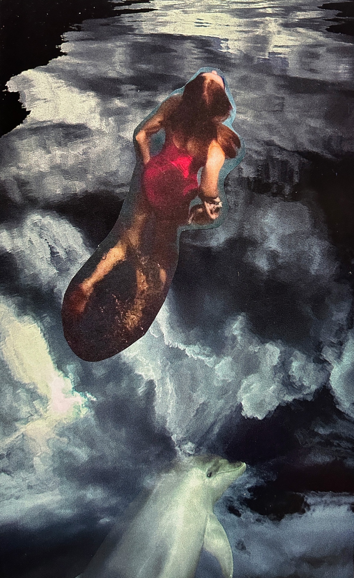 The Dolphin
